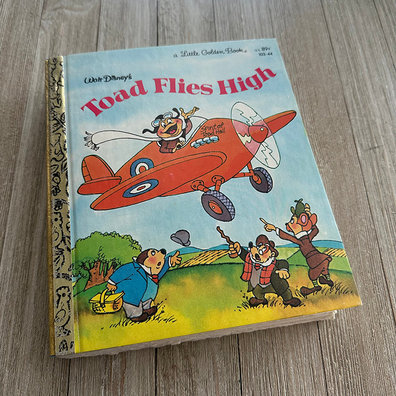 Toad Flies High-Golden Book Journal READY TO SHIP