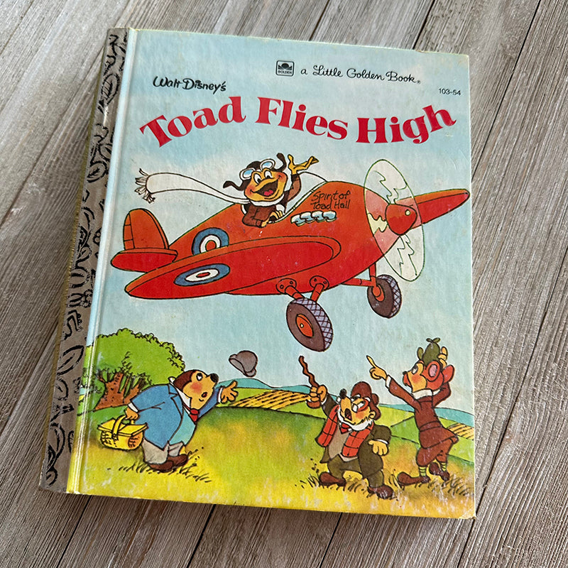 Toad Flies High-Golden Book Journal READY TO SHIP
