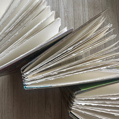 **★ PRE-ORDER ★ 2026 Retreat Season -Golden Book Journal Set