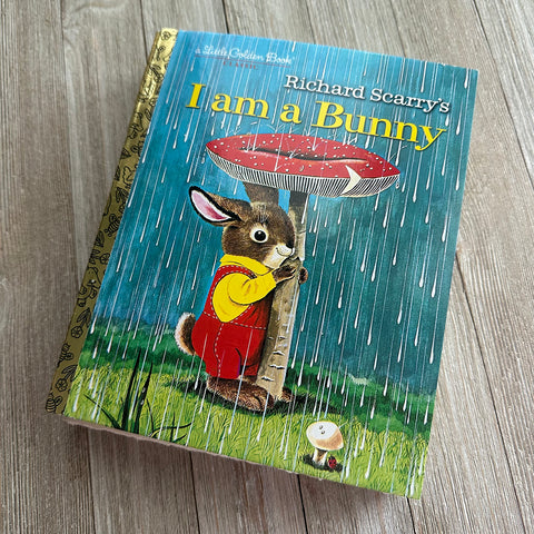 I am a Bunny Golden Book Journal READY TO SHIP